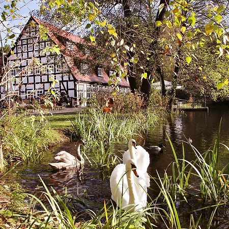 Отель Springbach-Muehle Бельциг Экстерьер фото